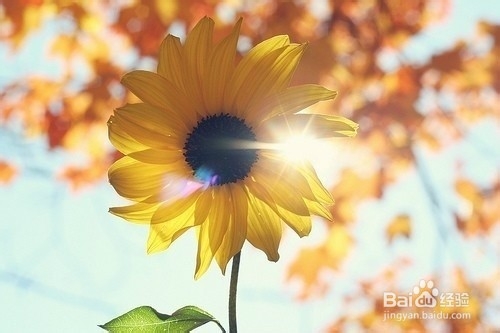 如何练就好口才？