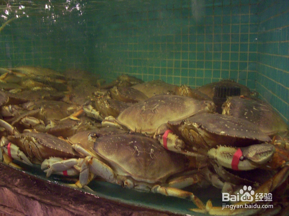 蒸螃蟹的卫生又好吃的小窍门。