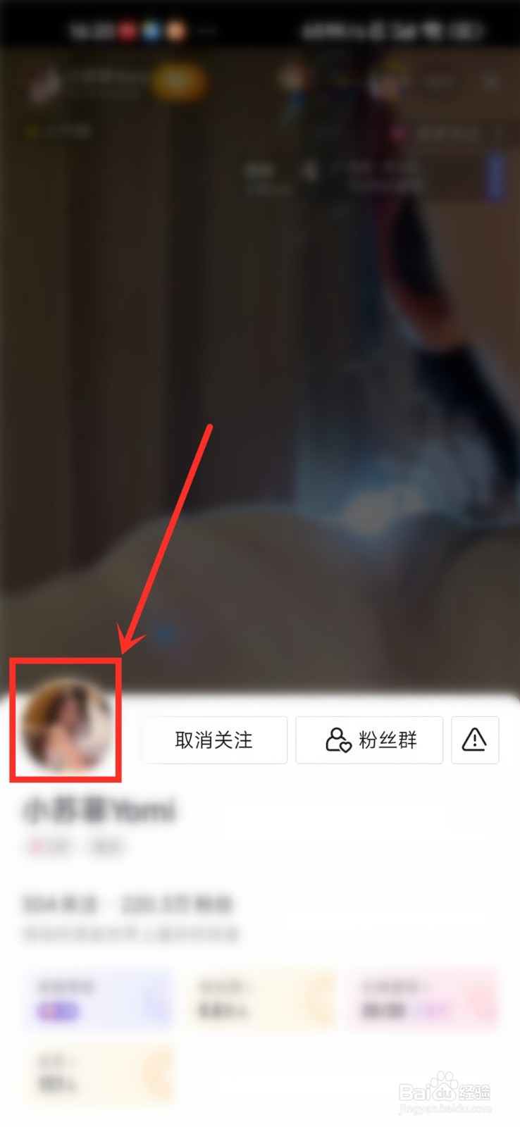 抖音主播mcn在哪里看