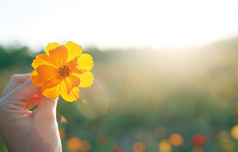 不期而遇的温暖开头怎么写