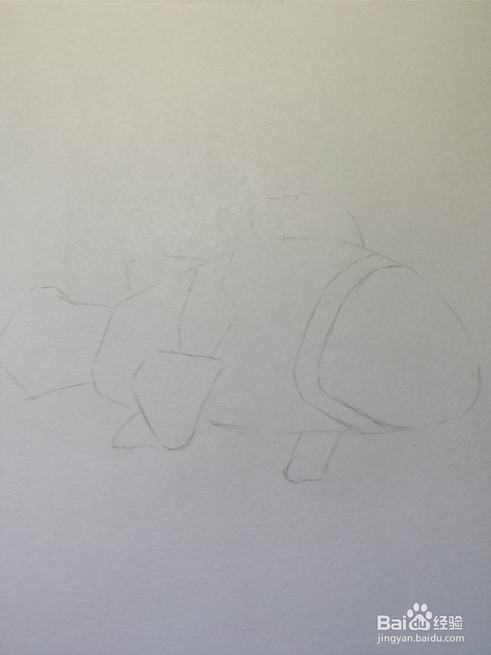 简笔画画小丑鱼