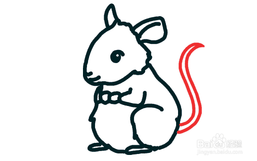 如何画一只可爱的老鼠
