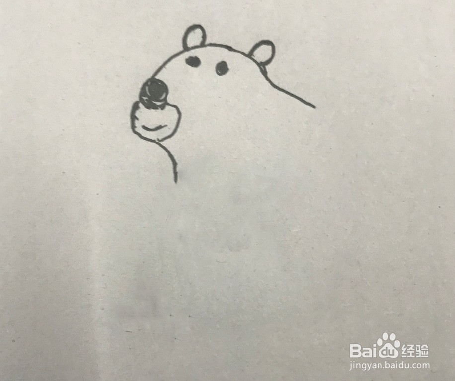 如何画大笨熊的简笔画