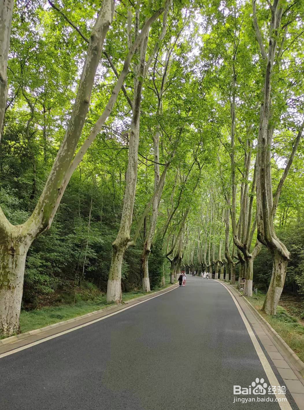 南京旅游攻略