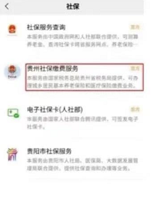 自己怎么在手机缴社保？