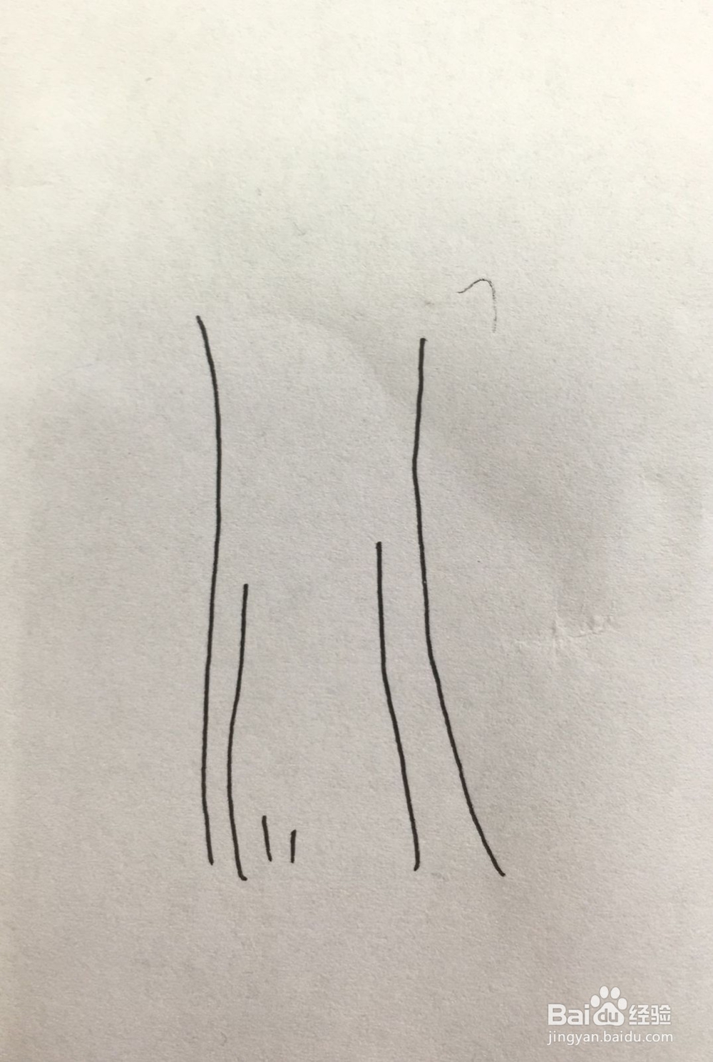 如何画一棵柳树
