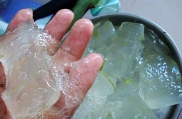 芦荟汁的功效与作用