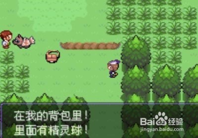 小鸡模拟器口袋妖怪漆黑的魅影攻略
