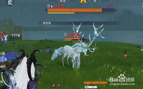 穷奇进化丹怎么获得
