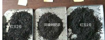 红茶系列奶茶制作步骤