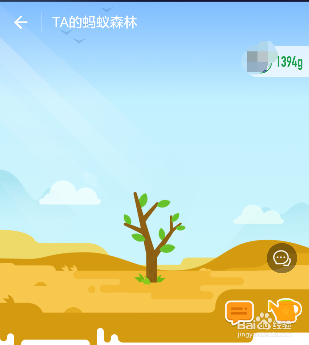 蚂蚁森林攻略