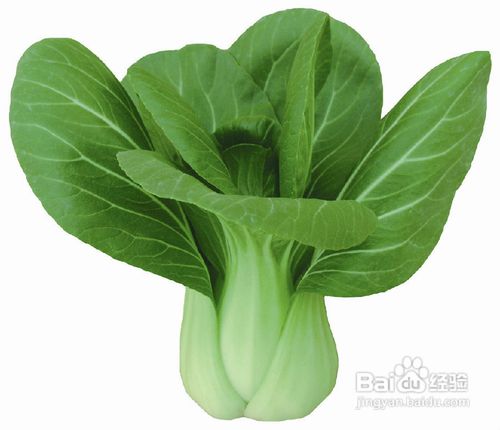 高血压的饮食调节注意什么