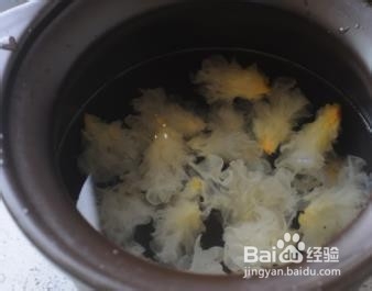 冰糖雪梨极速款