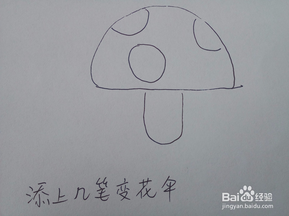 好看又有营养的大蘑菇 12