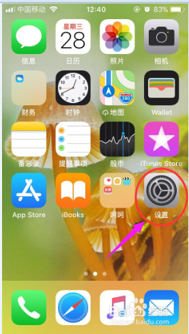 怎么查看自己苹果手机的储存空间