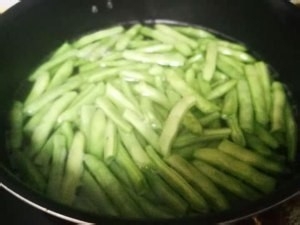 正宗家常味儿的干煸豆角