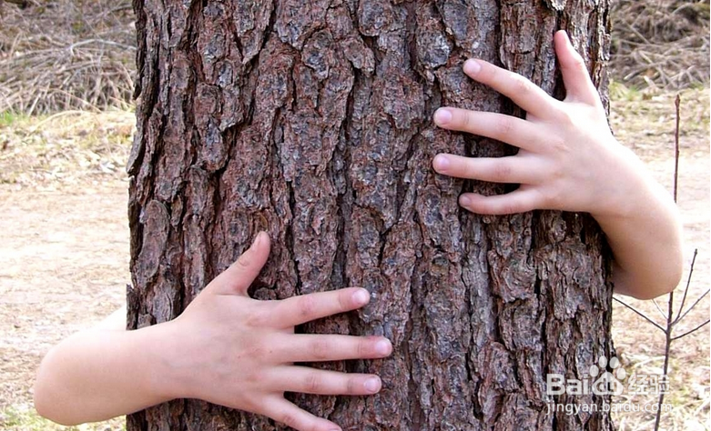 每天半小时减掉啤酒肚