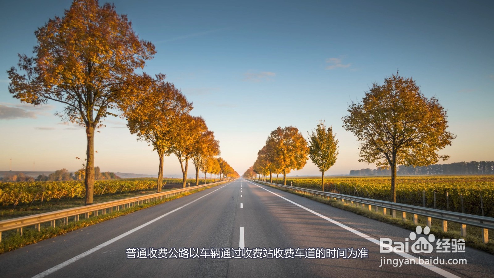 过年高速免费从什么时候开始