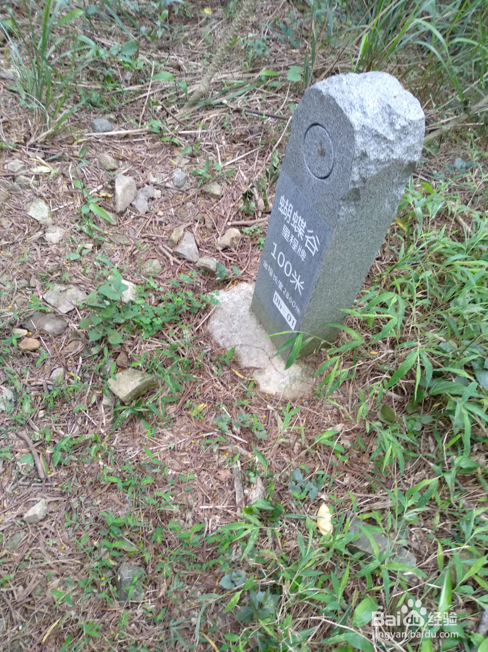 深圳大梧桐游玩路线