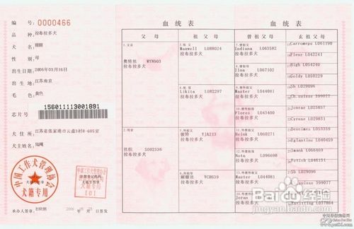 关于狗狗纯种和血统区别