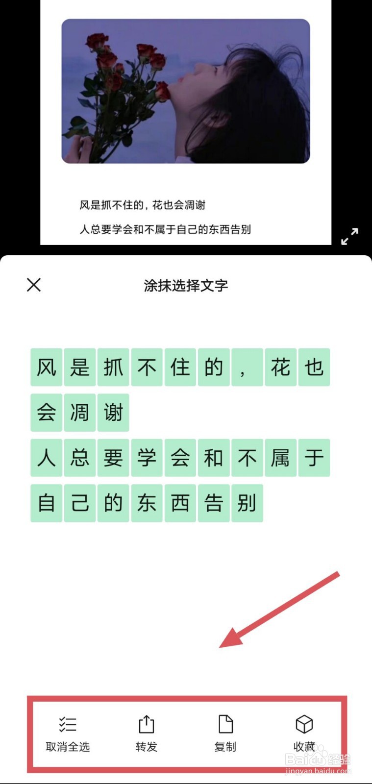 手机图片文字识别提取