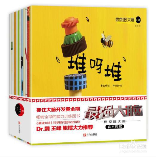 爱因思维《最强大脑》益智类系列图书适用人群