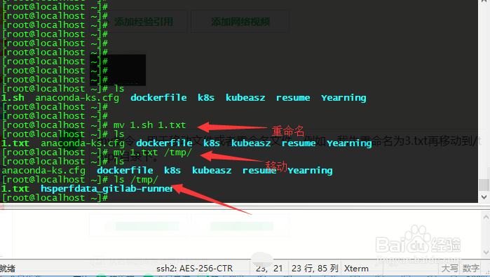 linux命令行之文件操作