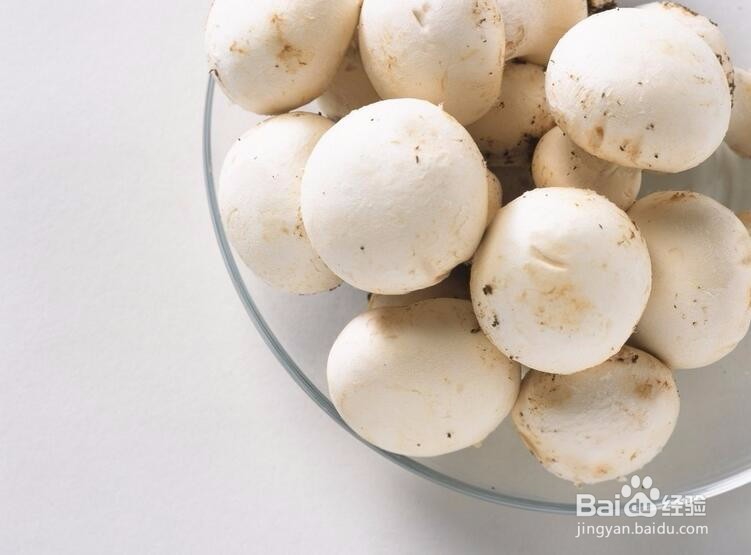 如何制作意大利面配牛排