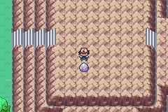 口袋妖怪圣灰攻略图片5