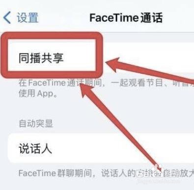 怎么设置苹果FaceTime通话同播共享?