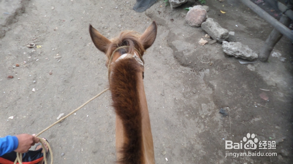 行走菲律宾首都马尼拉