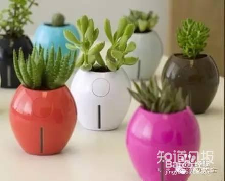 00后竟然用这种花盆,我们都落伍了!