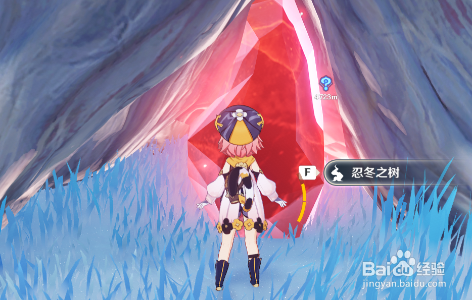 原神忍冬之果的图纸怎么获得