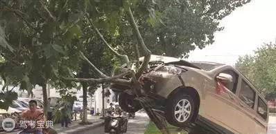 安全倒车“十不要”