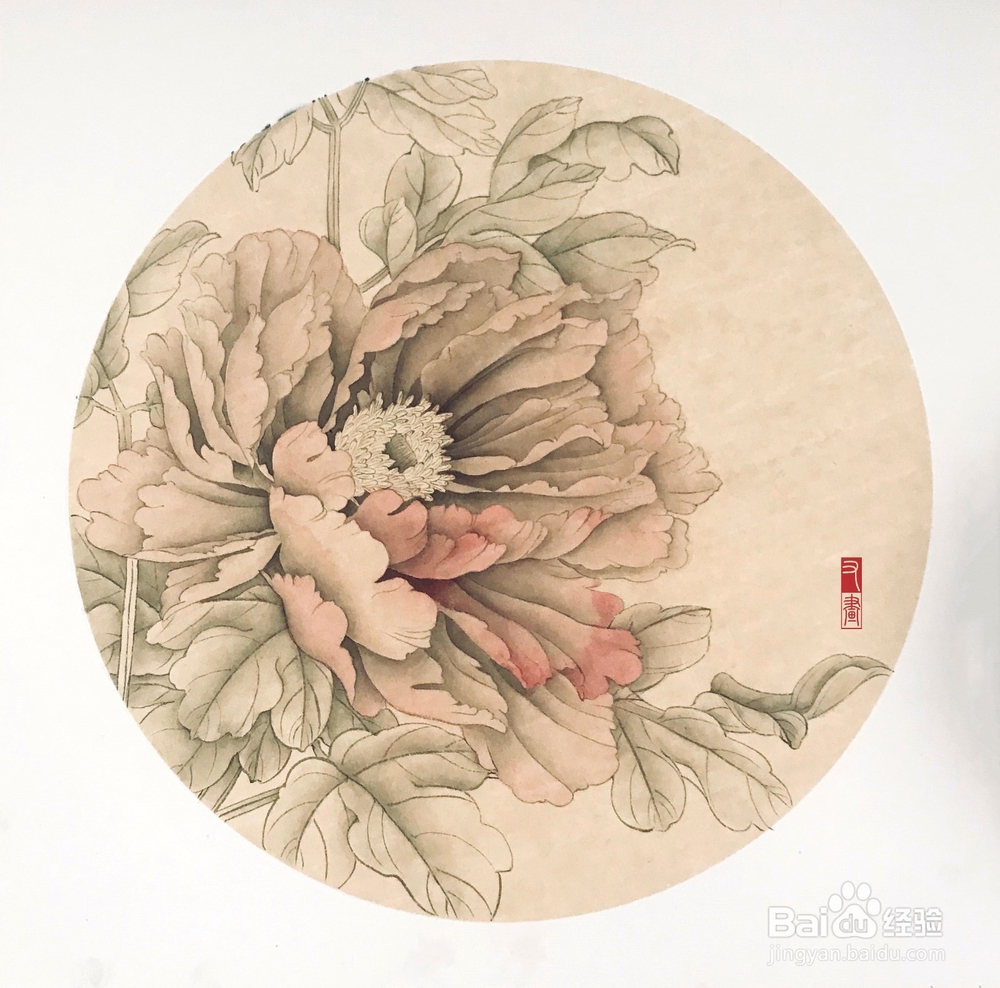 国画花卉牡丹绘画步骤