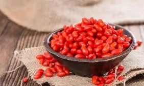 枸杞有什么功效?