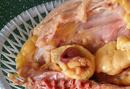 木耳鸡汤的做法