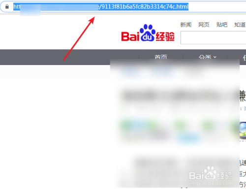 网站seo优化技巧