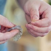 不点外卖149--美味豌豆米粉丸