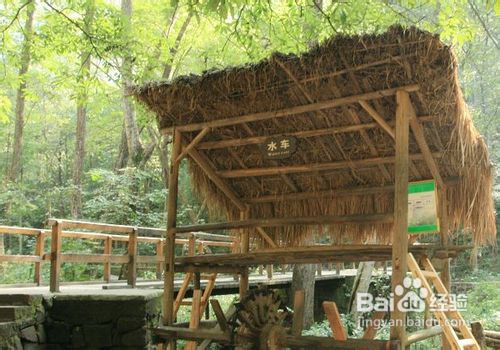 杭州到张家界旅游攻略