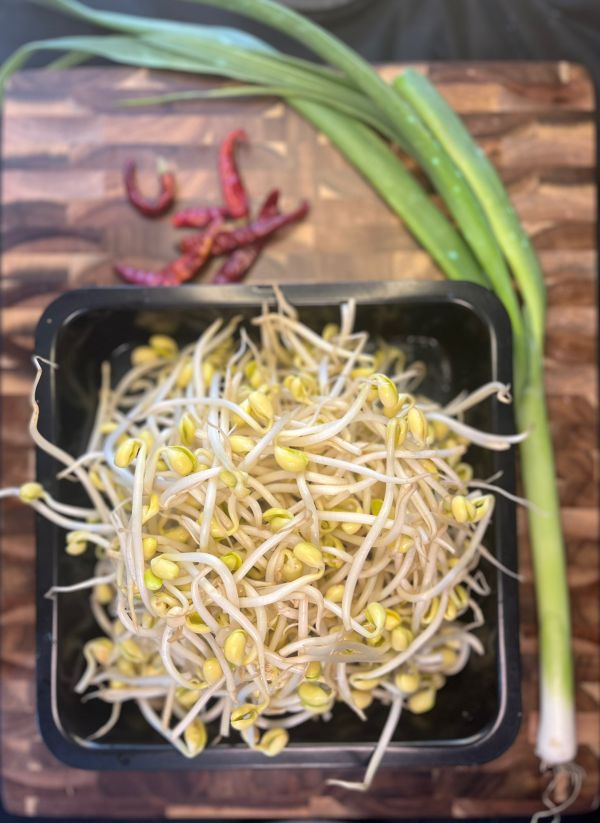 小炒黄豆芽越嚼越香