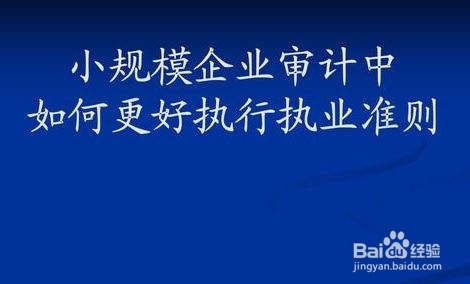 审计过程中,如何了解公司经营环境