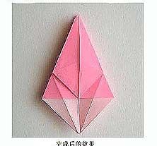 怎样DIY纸百合花