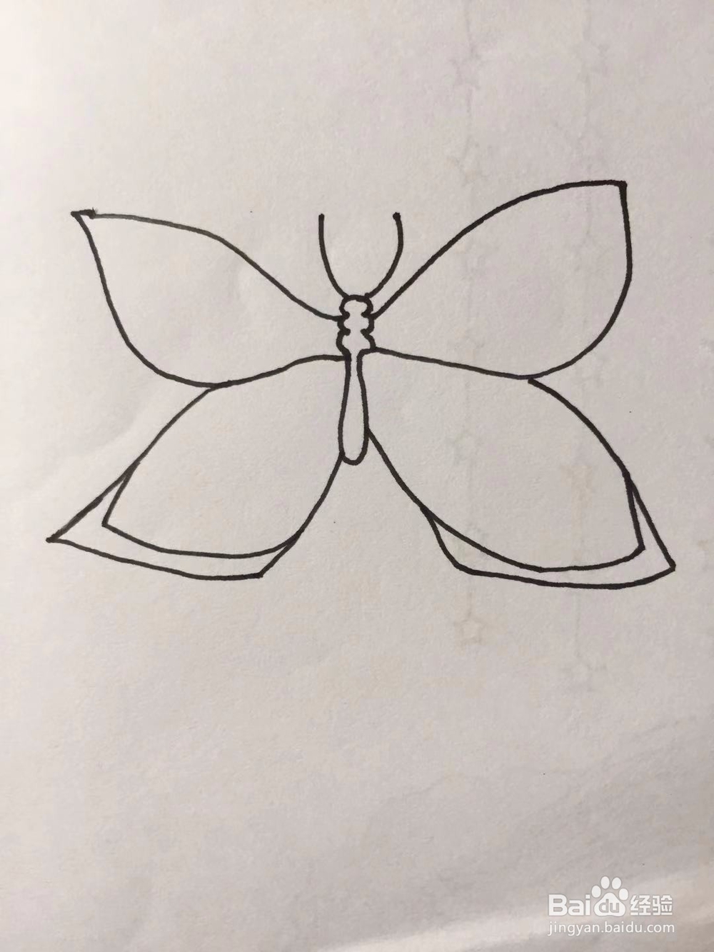 茉莉手绘之蝴蝶