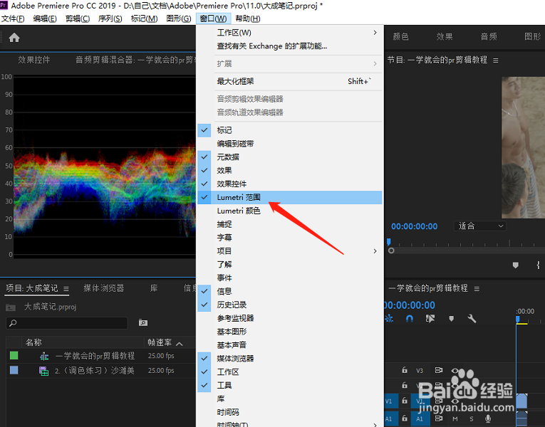 pr教学-如何打开直方图