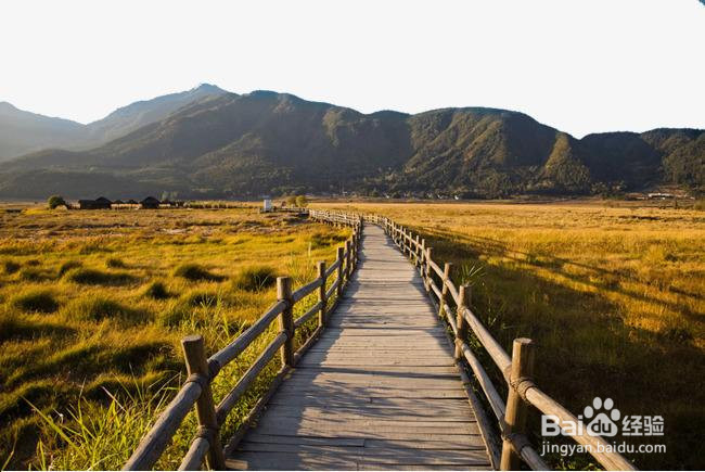 到云南旅游，有哪些值得去的景点呢？