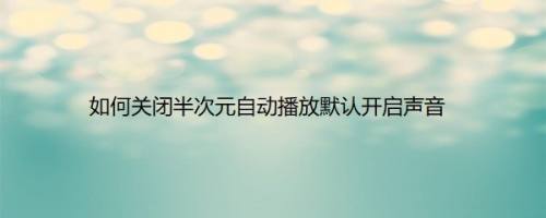 如何关闭半次元自动播放默认开启声音