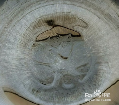 清淡的清炒南瓜丝