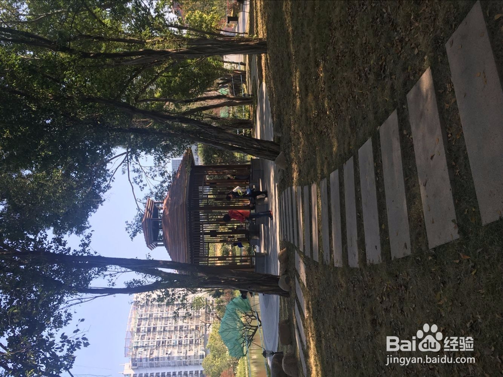 福州温泉公园花灯游
