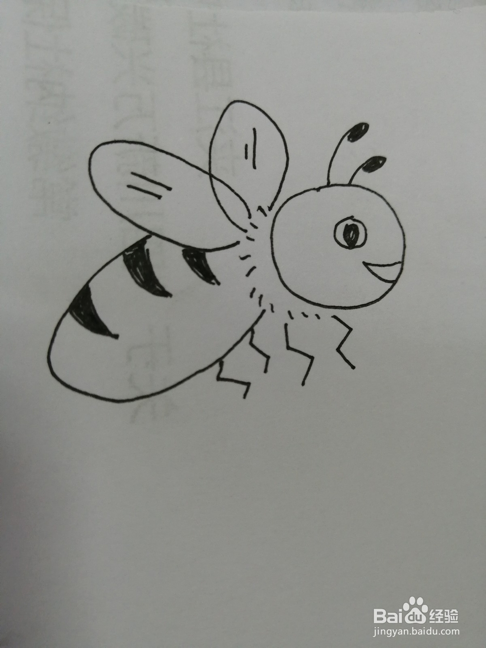 <b>简笔画可爱的小蜜蜂怎么画</b>